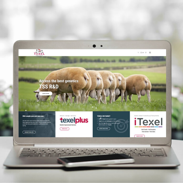 British Texel Sheep Society